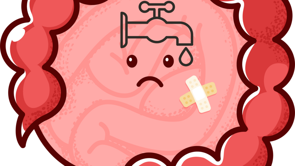 Image showing inflammation in the gut lining
