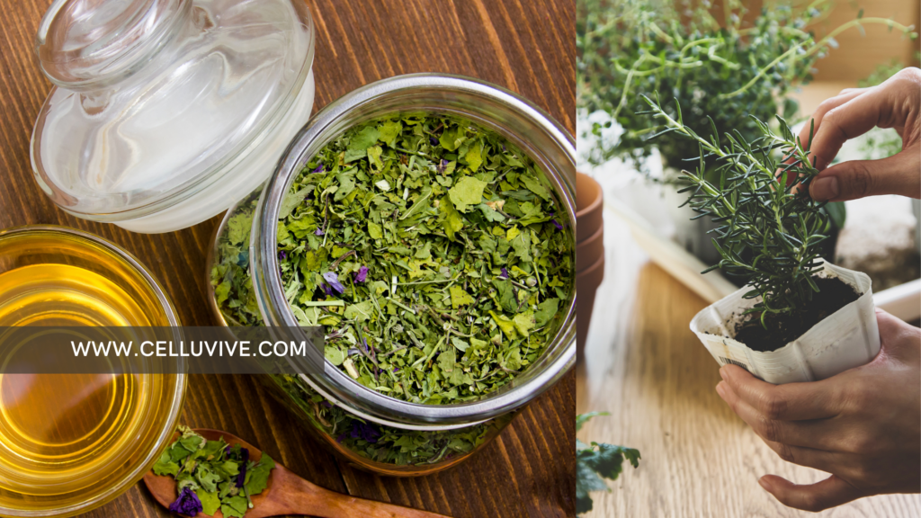 image of herbal plant destruction in a bowl
