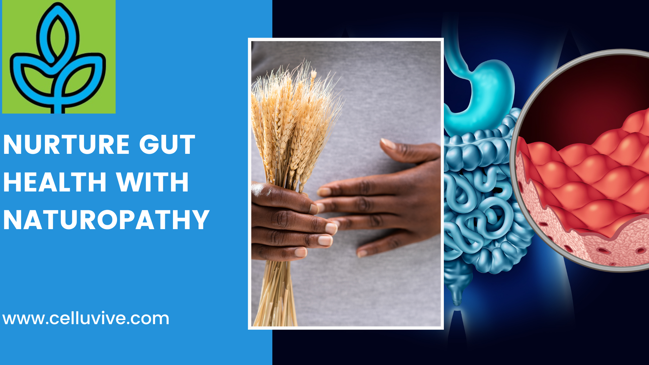 Celiac Disease