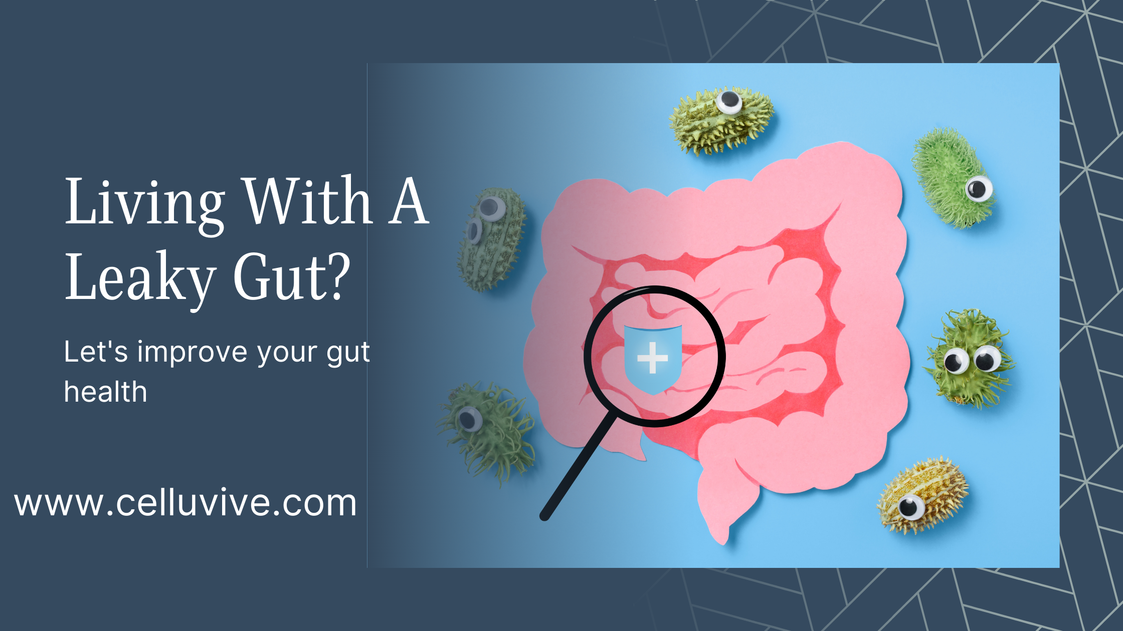 Leaky Gut