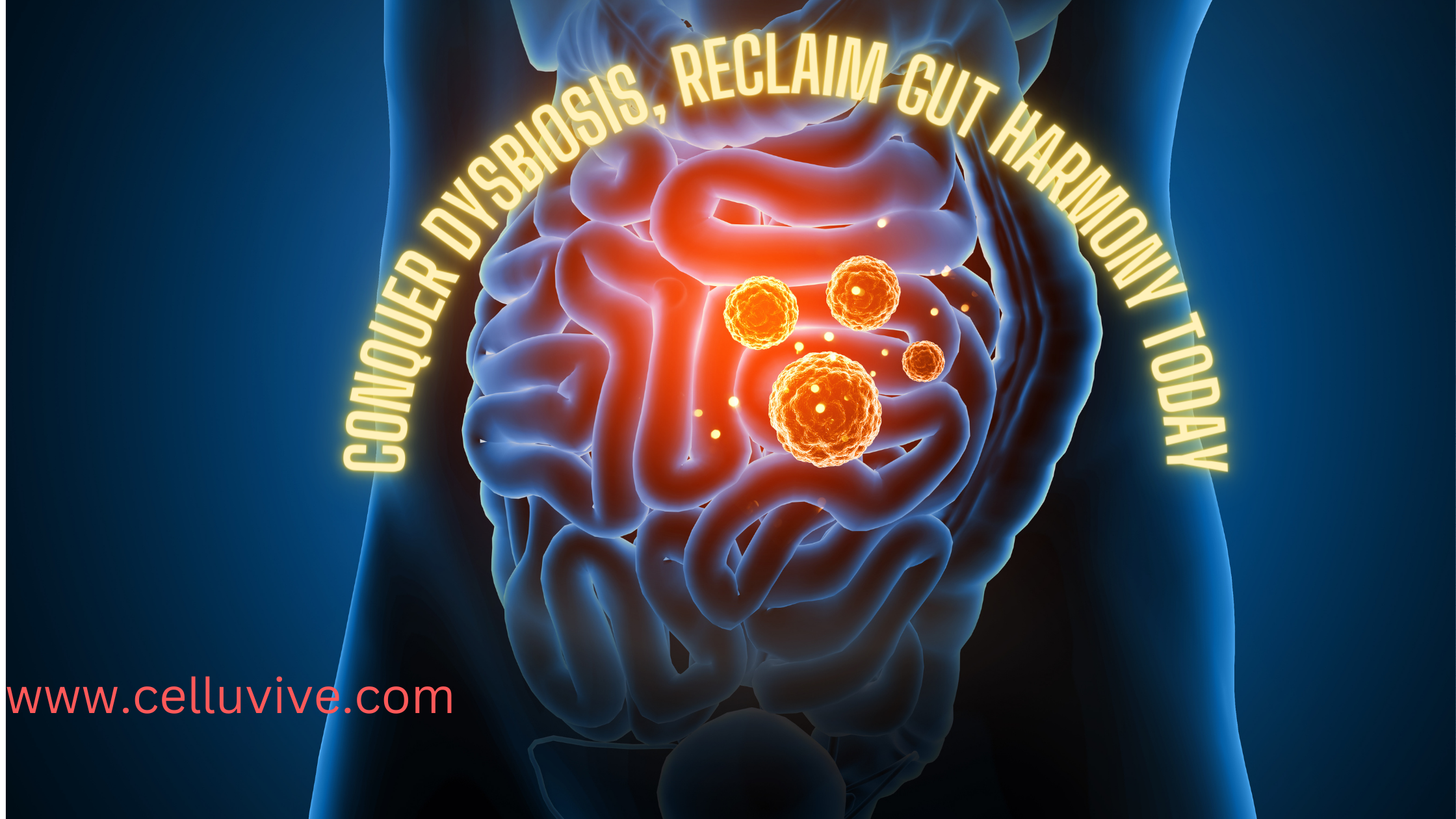 Dysbiosis