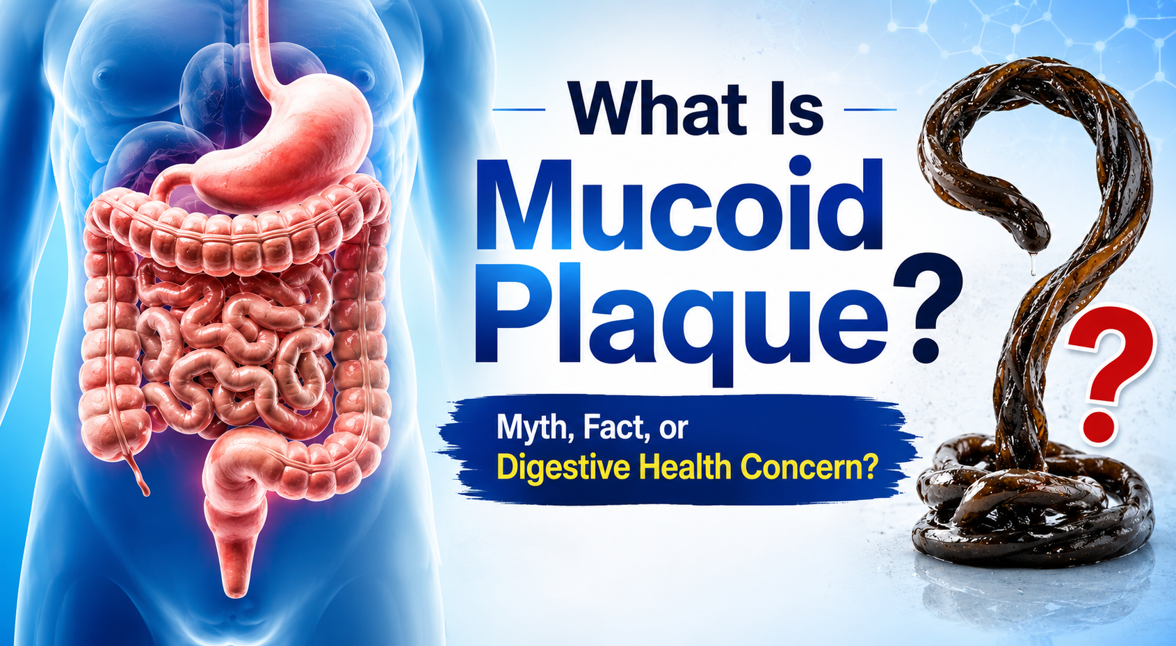 Mucoid Plaque