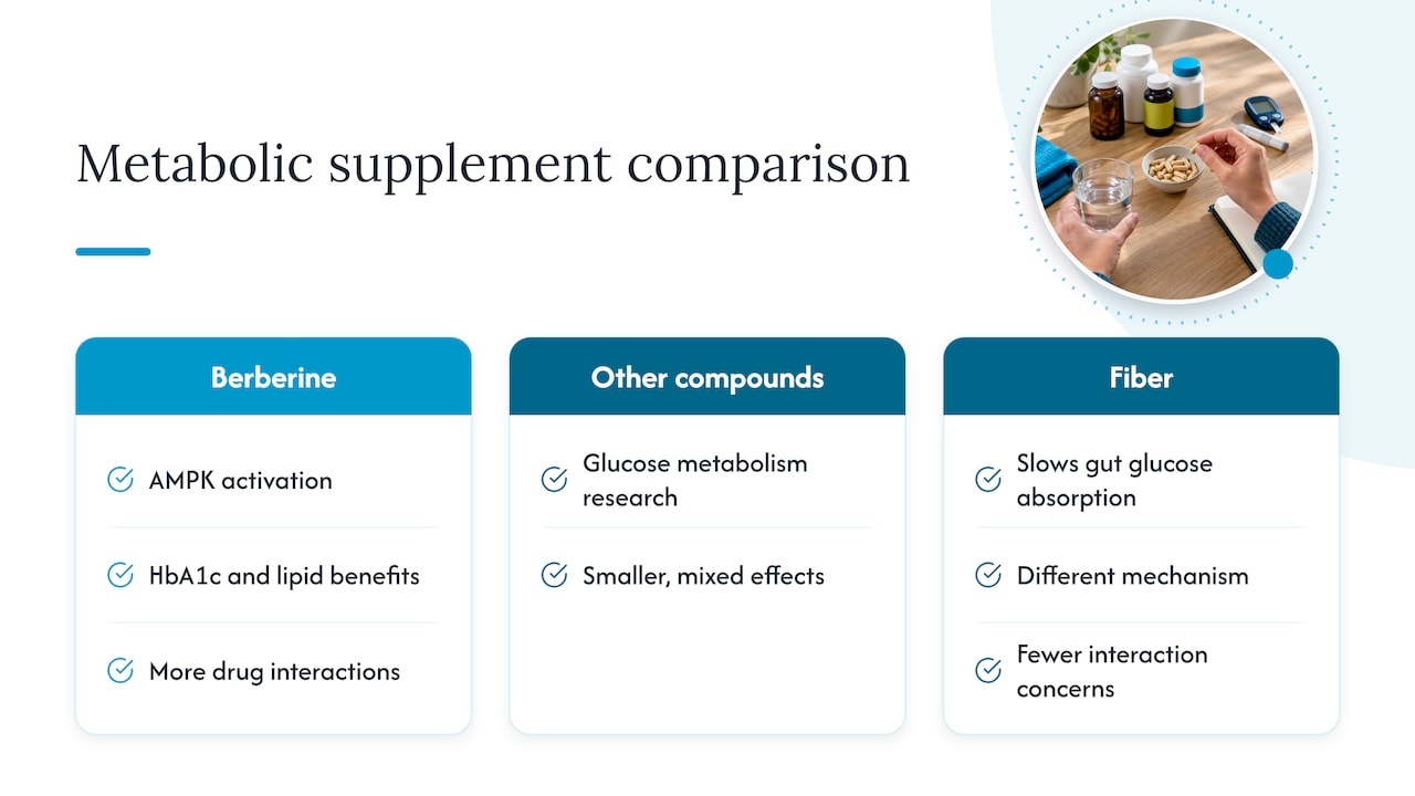 How Berberine Compares to Other Metabolic Health Supplements — overview diagram